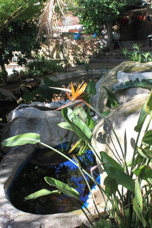 Schuilhoek Garden Terraces - Self Catering Cape Town Eksteriør bilde